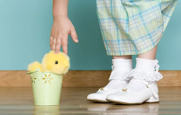 Picture holiday, hand, Easter, lace, chicken, child, Easter, socks