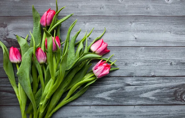 Flowers, background, bouquet, tulips