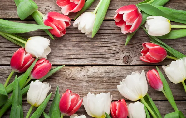Flowers, tulips, red, white, wood, flowers, tulips, spring