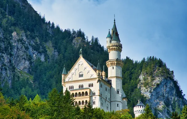 Picture trees, castle, Germany, Neuschwanstein