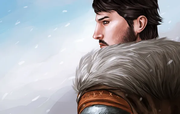 Picture winter, snow, art, fur, male, Blizzard, Dragon Age 2, Hawke