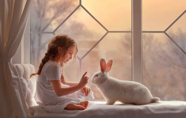 Picture mood, rabbit, window, girl, white rabbit