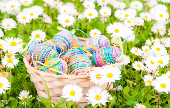 Picture field, flowers, chamomile, eggs, Easter, flowers, spring, Easter