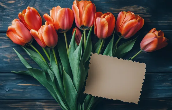Flowers, holiday, Board, bouquet, spring, tulips, red, cardboard