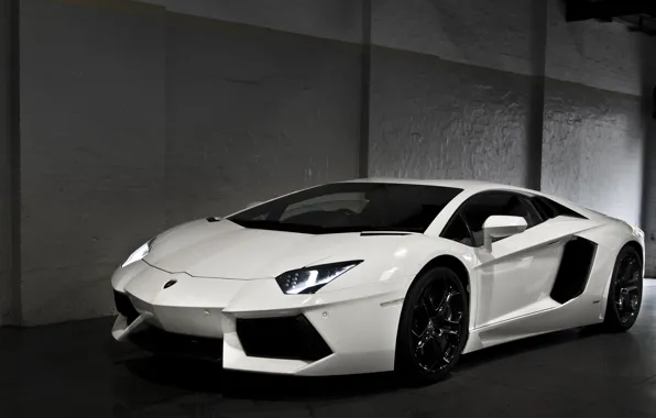 Picture white, wall, Parking, white, lamborghini, front view, headlights, aventador