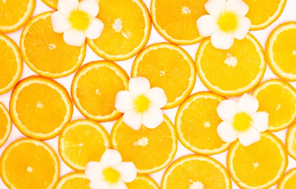 Flowers, orange, background, color, orange, oranges, texture, fruit