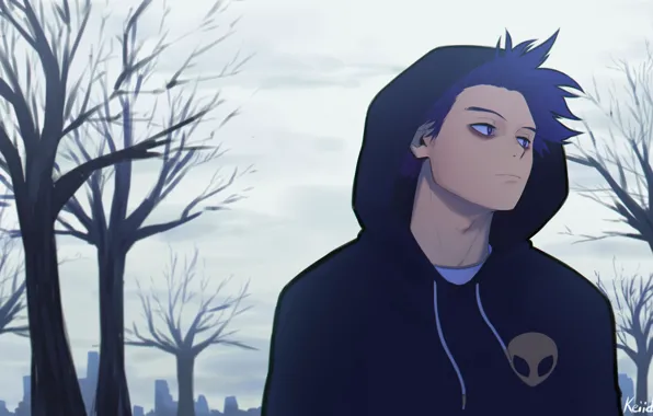 Autumn, hood, guy, Boku no Hero Academy, My heroic academia, Shinsou Hitoshi