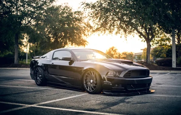 Picture car, city, Mustang, Ford, Ford Mustang, black, vegetaion, Ford Mustang Shellby Black