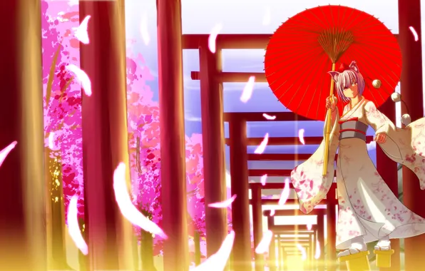 Magic, umbrella, kimono, priestess, ears, touhou, Touhou Project, Inubashiri Momiji