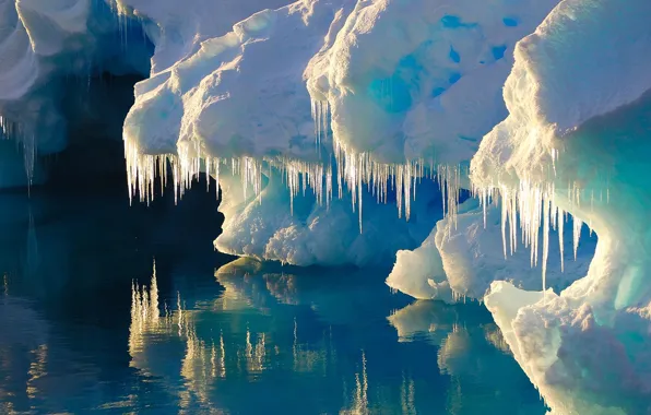 Picture ice, water, glacier, iceberg