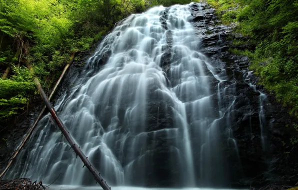 Greens, forest, trees, rock, stones, waterfall