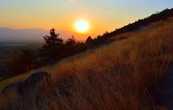 Sunset, Field, Sunset, The steppe