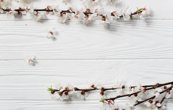 Picture flowers, branches, spring, wooden background