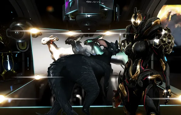 Light, Warframe, Sareena, Kawat