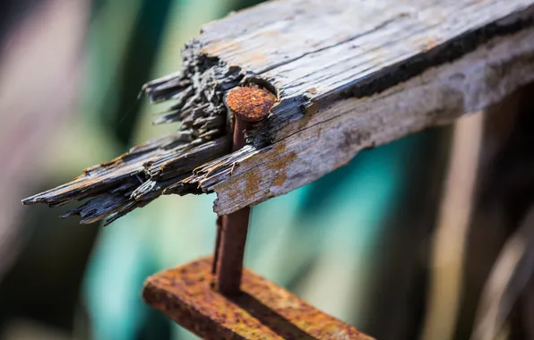 Picture macro, background, bench