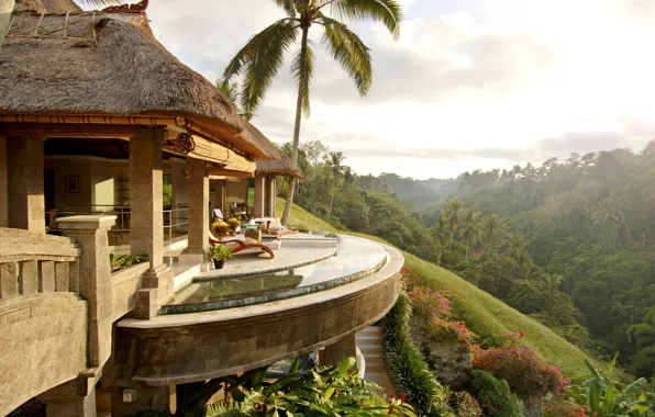 Picture palm trees, stay, Bali, the hotel, Viceroy Bali