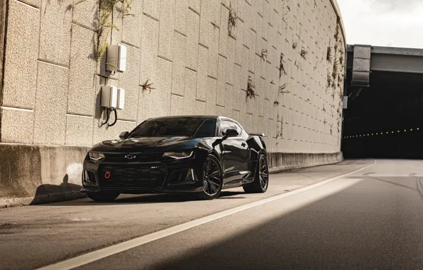 Picture Chevrolet, Camaro, ZL1, Chevrolet Camaro ZL1