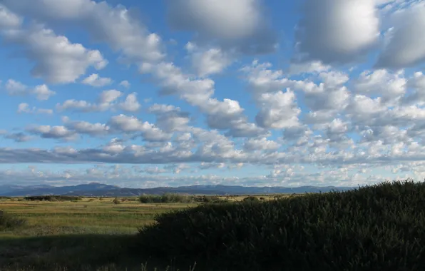 The sky, clouds, sunset, mountains, the steppe, blue, view, the evening