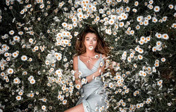 Summer, girl, flowers, glade, chamomile, dress, lies, white