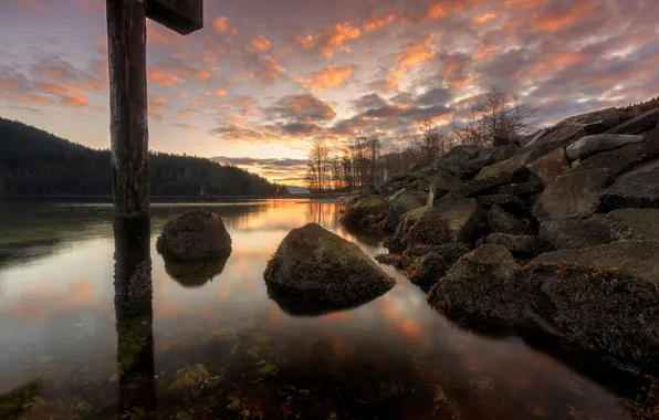 Reflection, stones, shore, posts, pond
