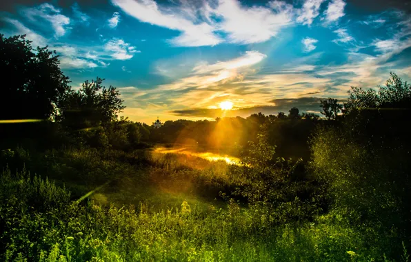 Greens, summer, the sky, the sun, clouds, rays, trees, Nature