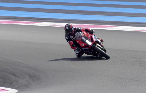 Suzuki, 1000, suzuki GSX R 1000, gsxr, boldor, serve