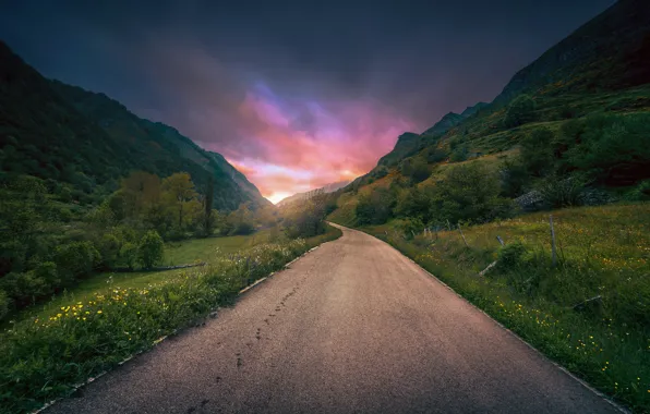 Road, summer, flowers, mountains, morning