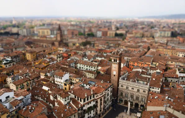 Picture roof, Italy, Italy, Torre dei Lamberti, Verona, Verona, roof, Torre dei Lamberti