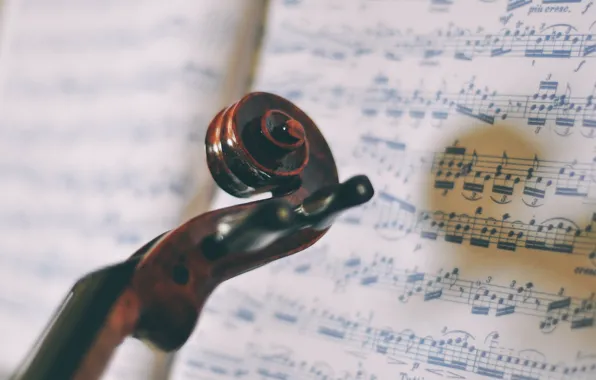 Notes, music, violin