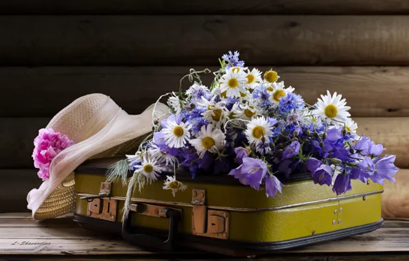 Picture chamomile, hat, suitcase, bells, forget-me-nots