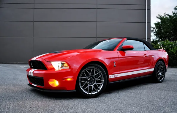 Picture light, red, wall, tree, Ford, mustang, Mustang, light