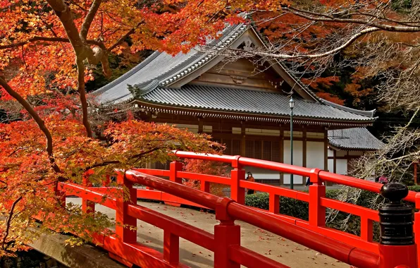 Picture road, autumn, leaves, trees, bridge, Japan, temple, Japan