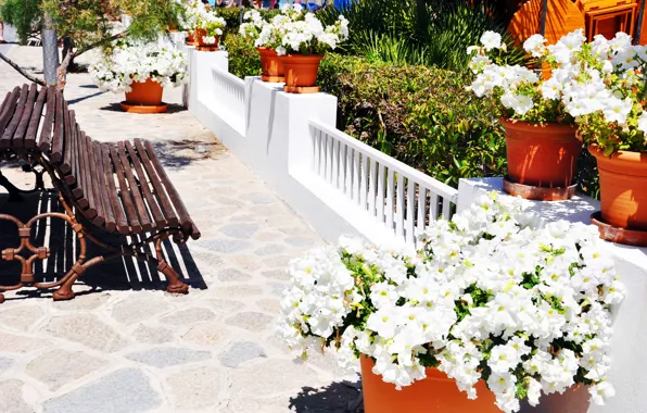 Picture sea, flowers, the city, shop, shop