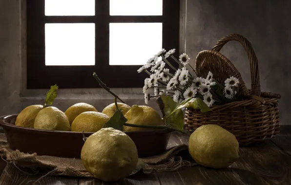 Light, flowers, table, chamomile, bouquet, window, bowl, fruit