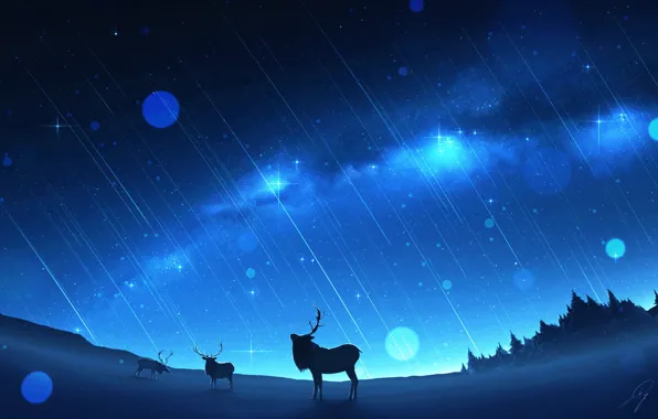 Winter, the milky way, deer, Starfall