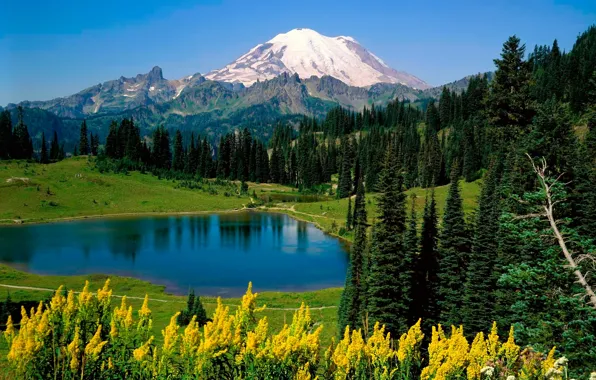 Trees, mountains, lake