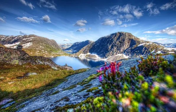 The sky, clouds, trees, landscape, flowers, mountains, nature, lake