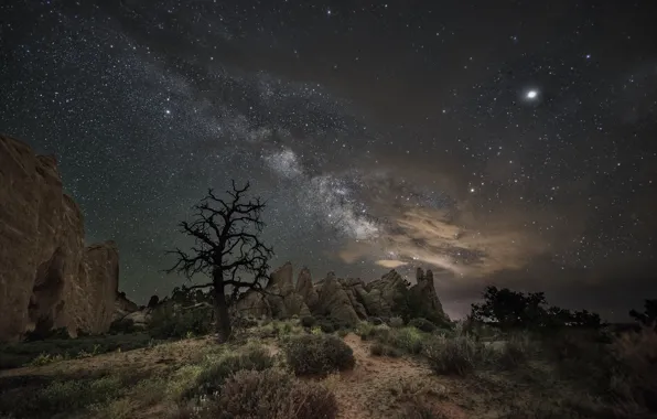 Night, rocks, desert
