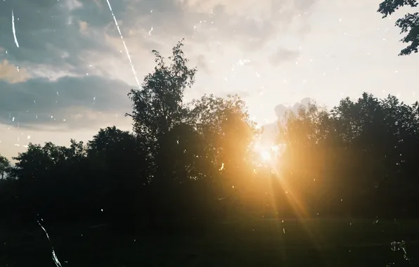 The sky, the sun, clouds, trees, nature, Russia, Artem