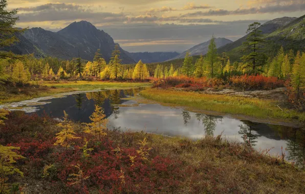 Picture autumn, forest, landscape, mountains, nature, stream, Vladimir Ryabkov, Kolyma