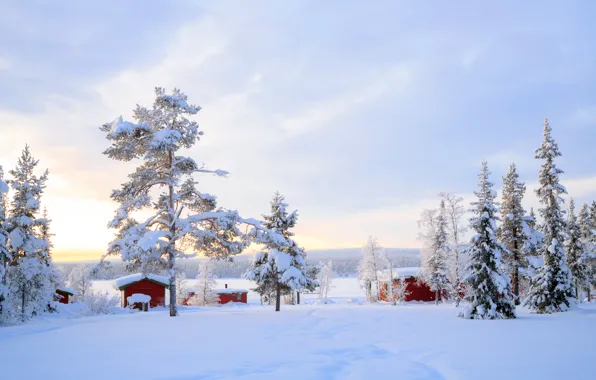 Winter, snow, trees, landscape, winter, house, hut, landscape
