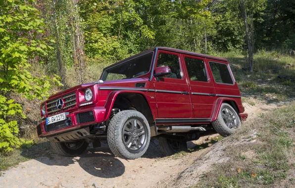 Mercedes, AMG, AMG, W463, 2015, G 63, Mercedоs-Benz