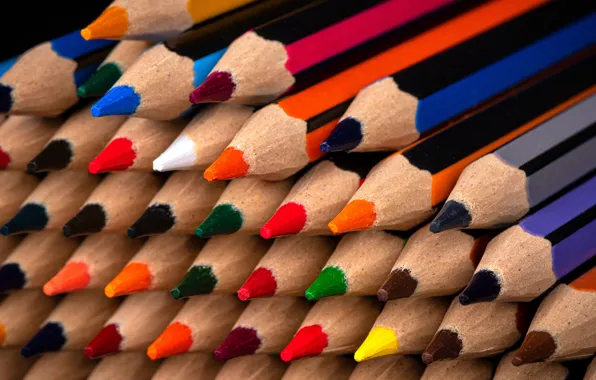Picture macro, colored, pencils, wooden, black background, colorful, a lot, stylus