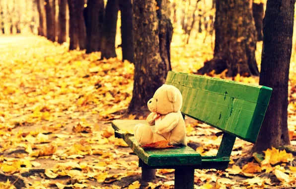 Picture autumn, leaves, trees, bench, background, tree, Wallpaper, mood