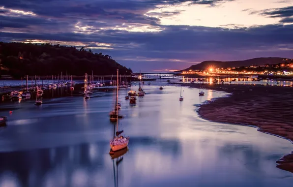 The sky, trees, night, lights, Bay, yachts, boats, tide