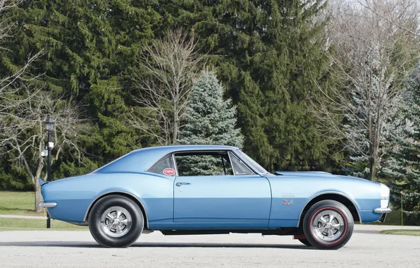 Retro, coupe, Chevrolet, Camaro, sports car, coupe, 1967, 427