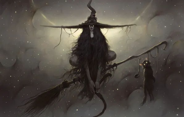 Look, animal, fantasy, art, witch, broom, black cat, familiar