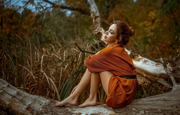 Girl, pose, tree, legs, Albert Forest
