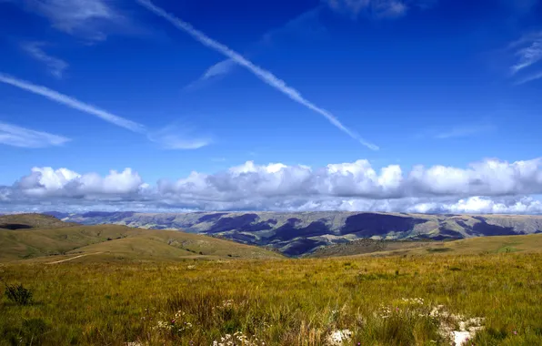 The sky, grass, clouds, flowers, hills
