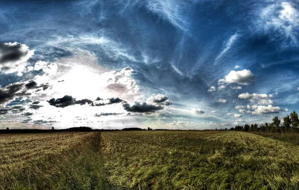 Field, the sky, clouds, landscape, nature, space